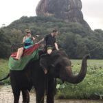 Economy - Global Tourism Economy