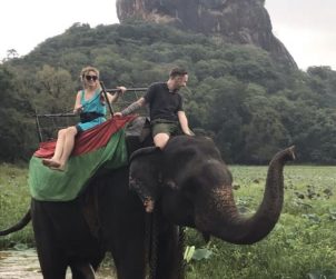 Economy - Global Tourism Economy