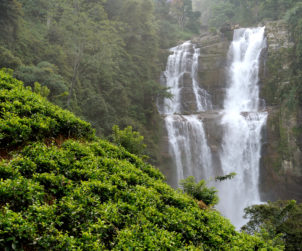 Tourism - Beautiful waterfall in Sri Lanka