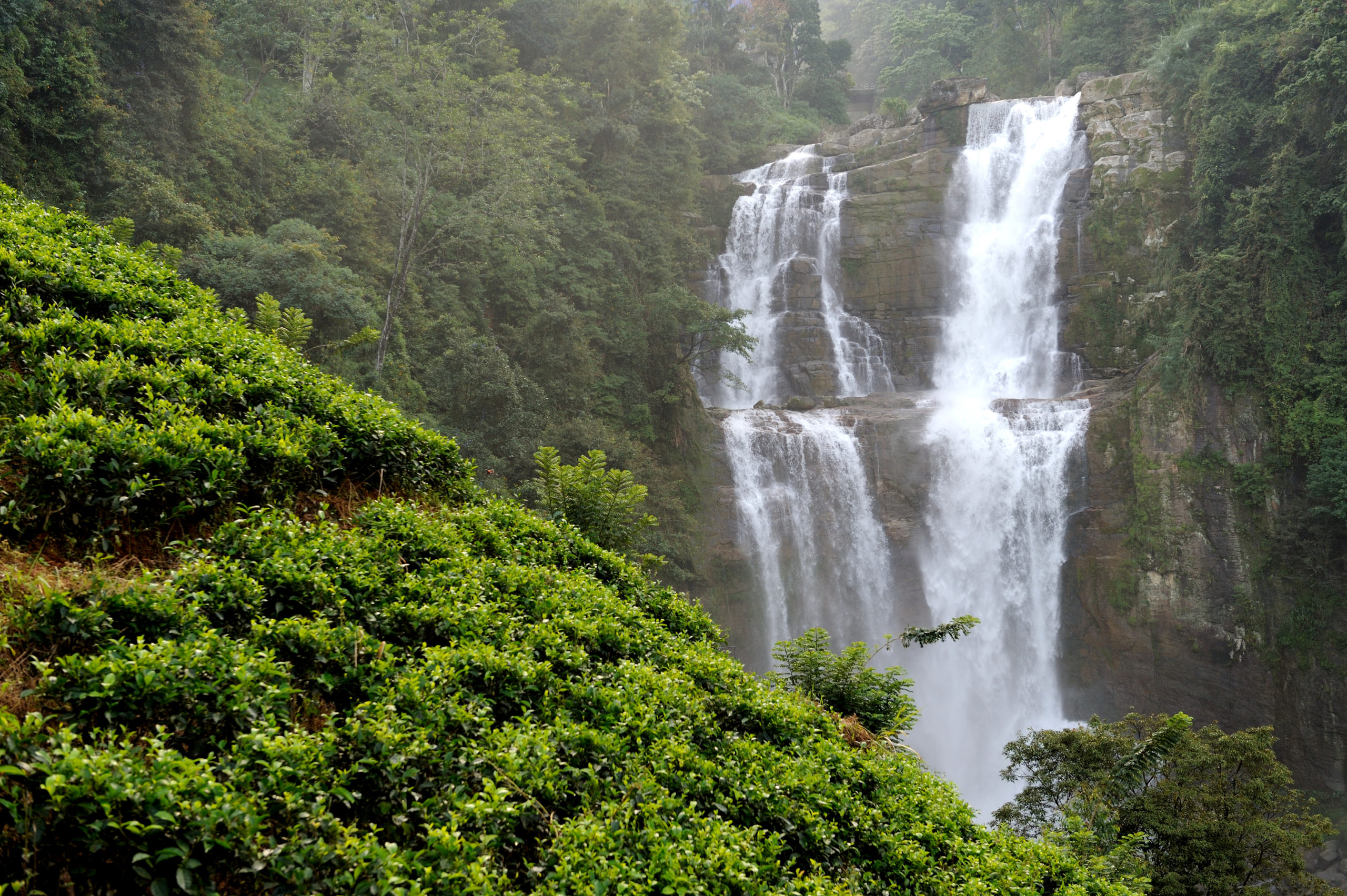 Tourism - Beautiful waterfall in Sri Lanka