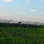 Renewable Energy TRansition in Bangladesh
