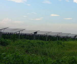 Renewable Energy TRansition in Bangladesh