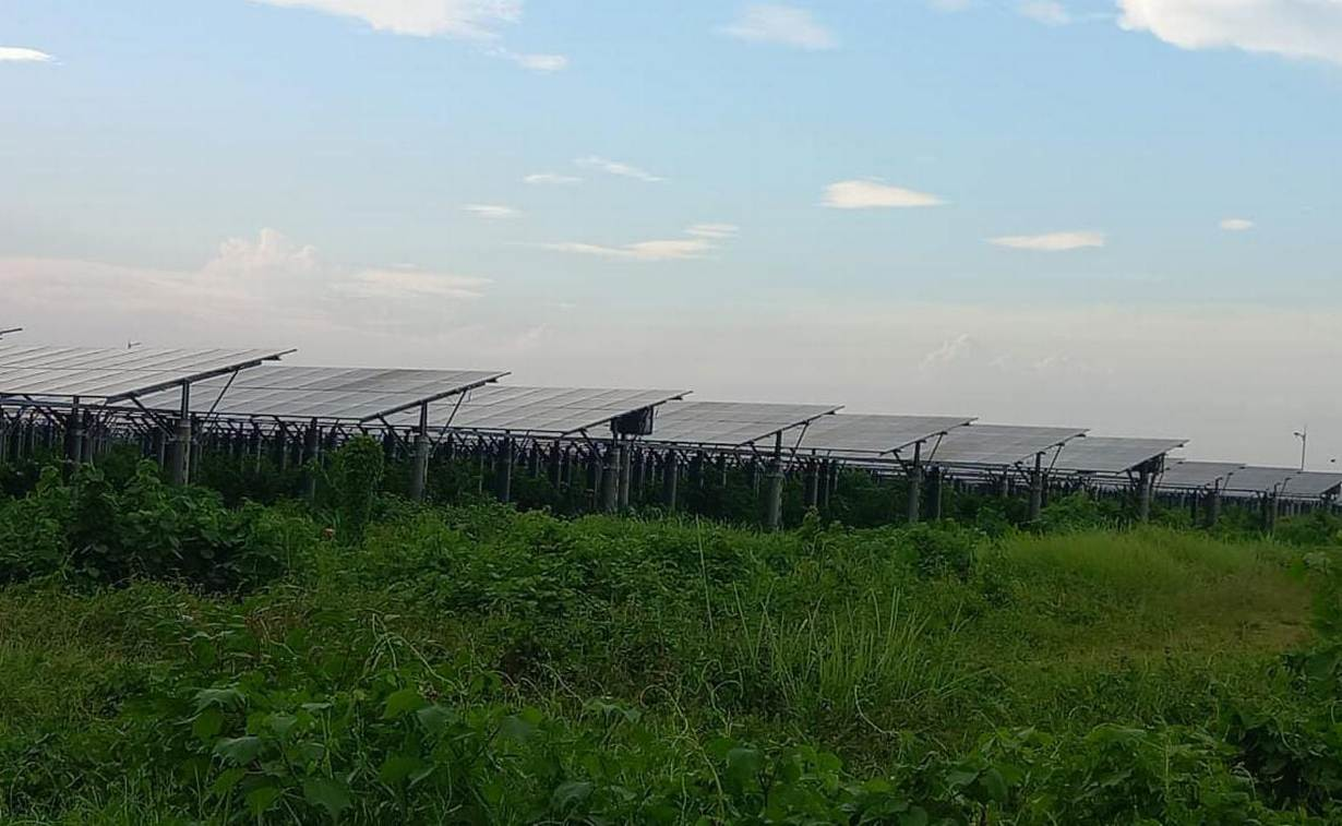 Renewable Energy TRansition in Bangladesh